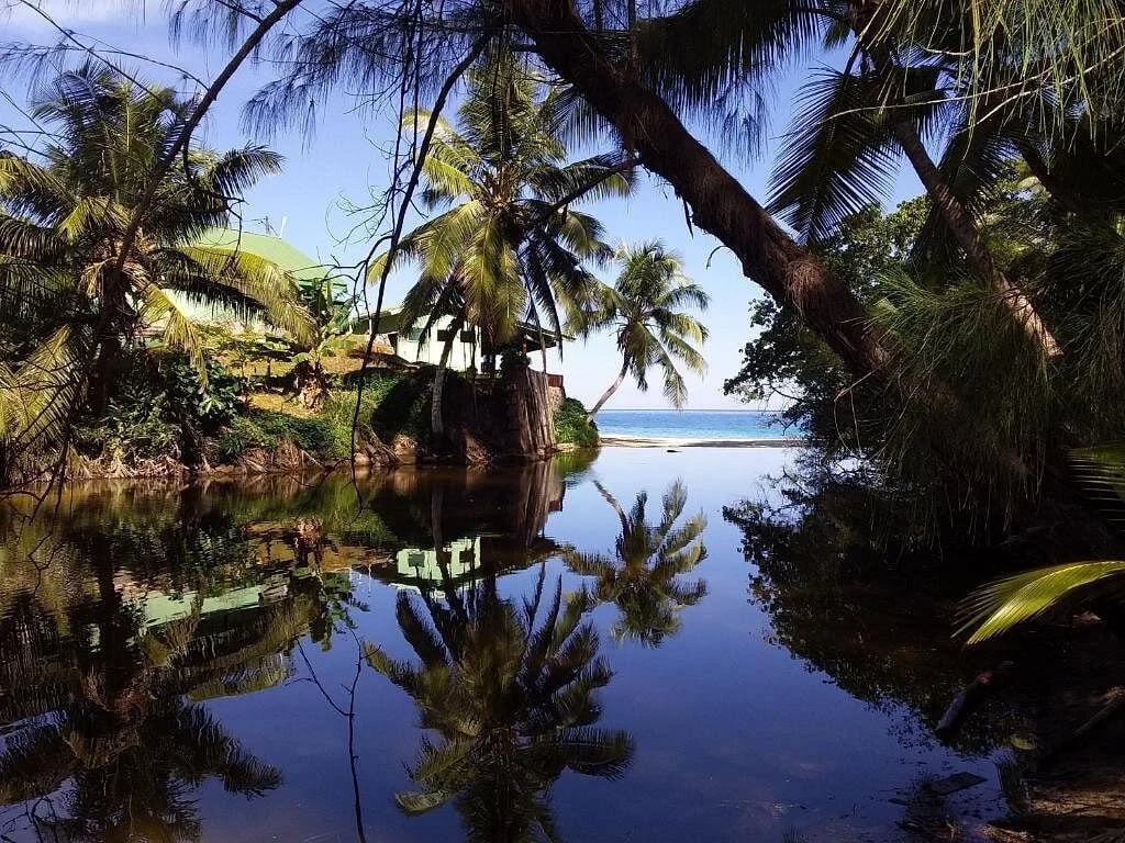 Calm Anse Soleil lagoon with mirror-like reflections and forested shore — tropical bay at Maison Soleil, Anse Soleil, Seychelles